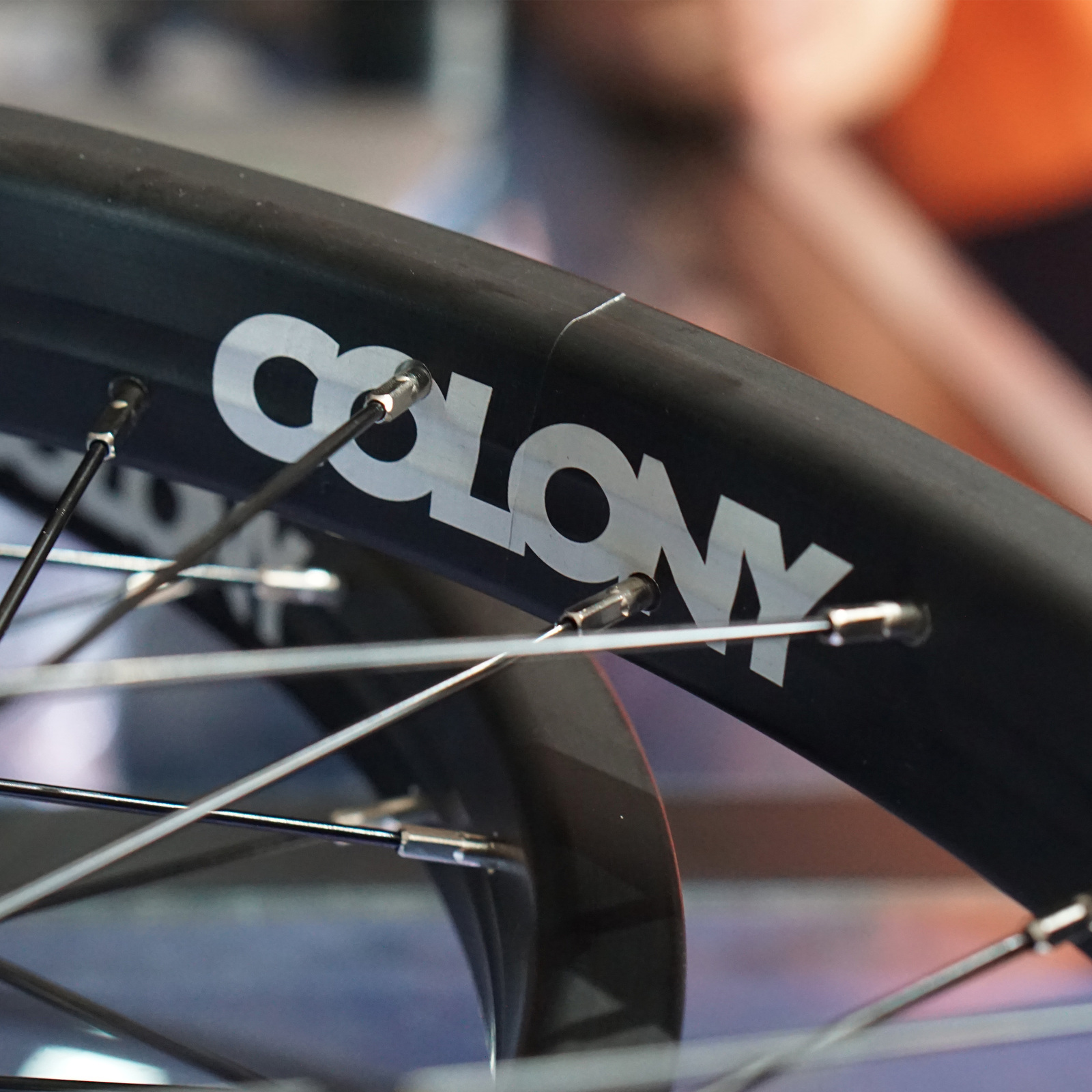 colony pintour rear wheel